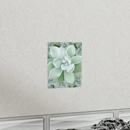 Pachyveria Haagei Succulent Pattern Botanical Print – Unframed Wall Art