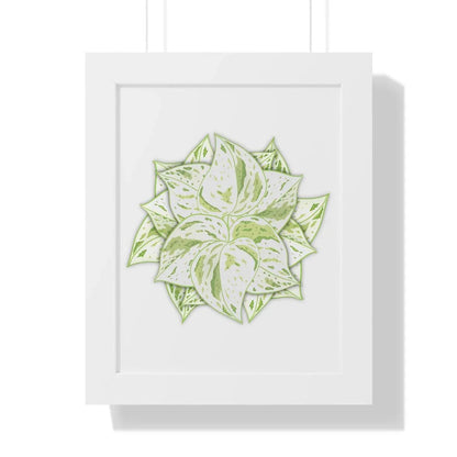 Snow Queen Pothos Framed Print – Botanical Wall Art