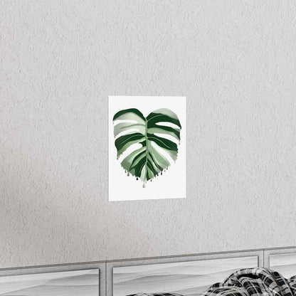 Melting Monstera Albo Botanical Print – Unframed Wall Art