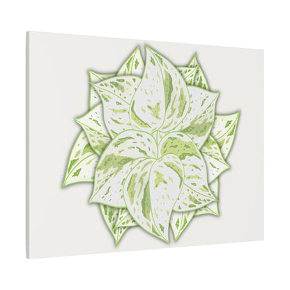 Snow Queen Pothos Canvas Print – Botanical Wall Art