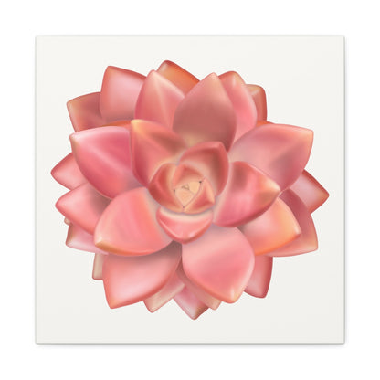 Graptosedum California Sunset Succulent Canvas Print – Botanical Wall Art