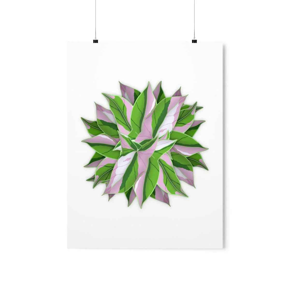 Syngonium Tricolor Pattern Botanical Print – Unframed Wall Art