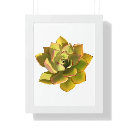 Noble Aeonium Succulent Framed Print – Botanical Wall Art