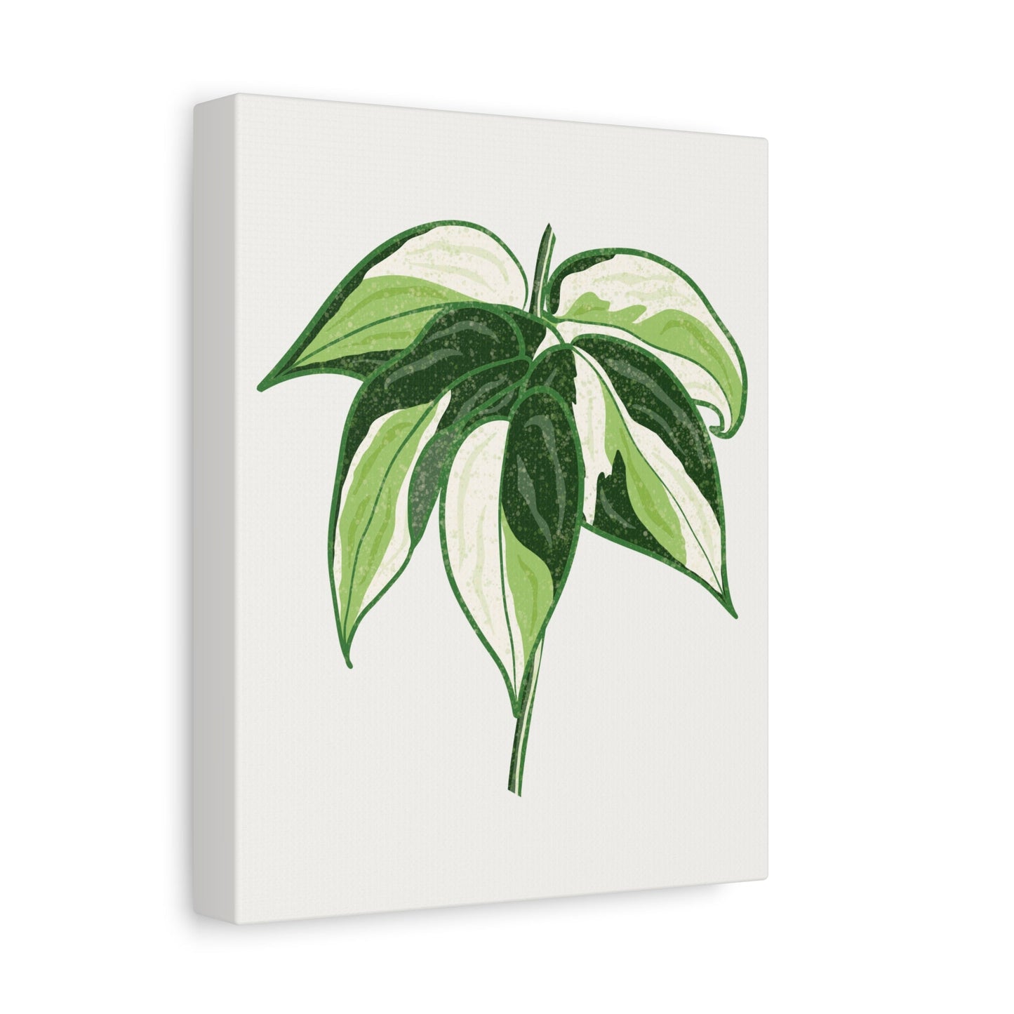 Philodendron Cream Splash Canvas Print – Botanical Wall Art