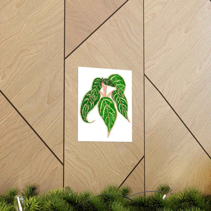 Aglaonema Sparkling Sarah Botanical Print – Unframed Wall Art