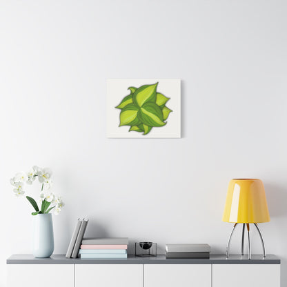 Philodendron Brasil Canvas Print – Botanical Wall Art