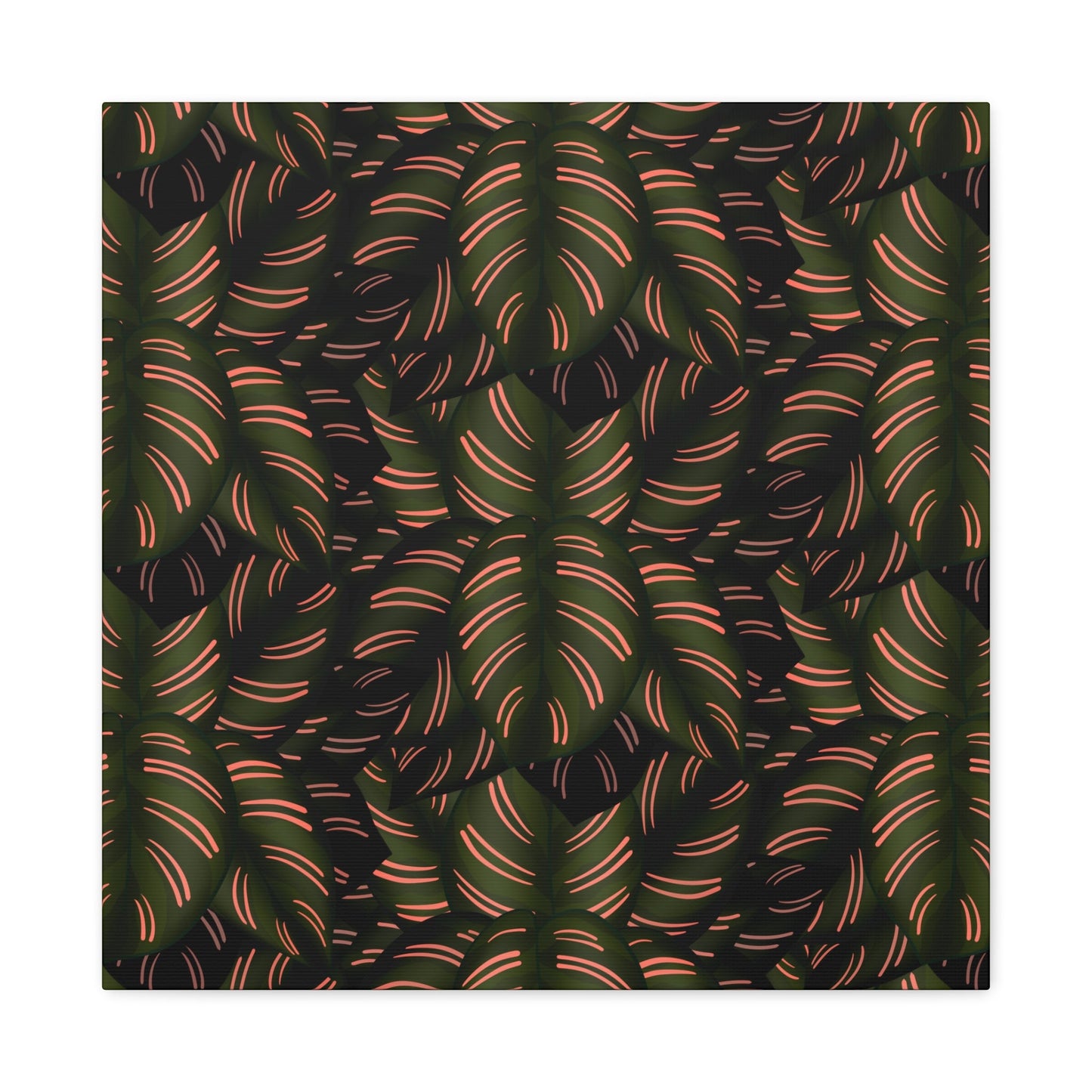 Calathea Pinstripe Pattern Canvas Print – Botanical Wall Art