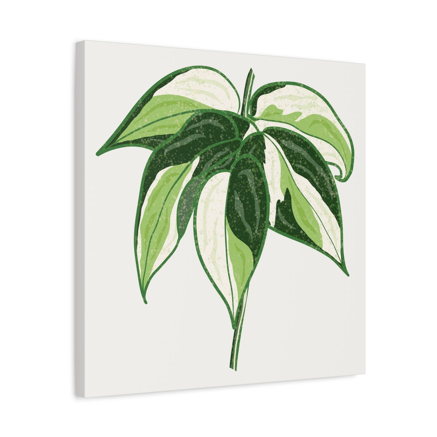Philodendron Cream Splash Canvas Print – Botanical Wall Art
