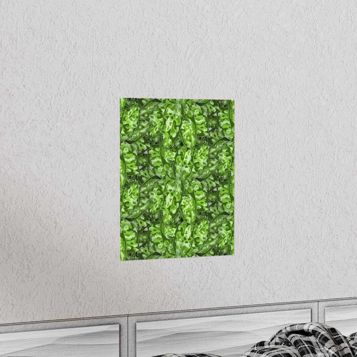 Aglaonema Pictum Botanical Print – Unframed Wall Art