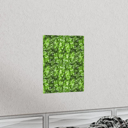 Aglaonema Pictum Botanical Print – Unframed Wall Art