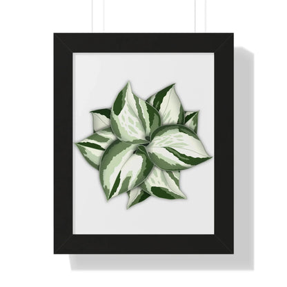 Manjula Pothos Framed Print – Botanical Wall Art