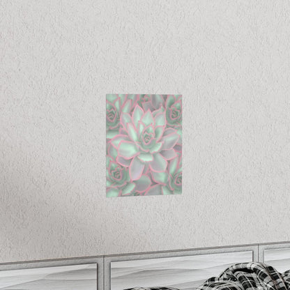 Echeveria Violet Queen Succulent Pattern Botanical Print – Unframed Wall Art