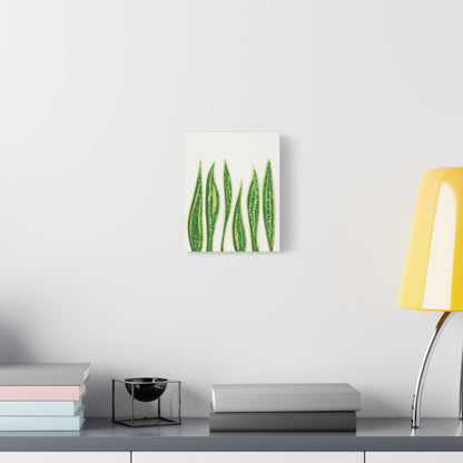 Snake Plant Canvas Print – Botanical Wall Art