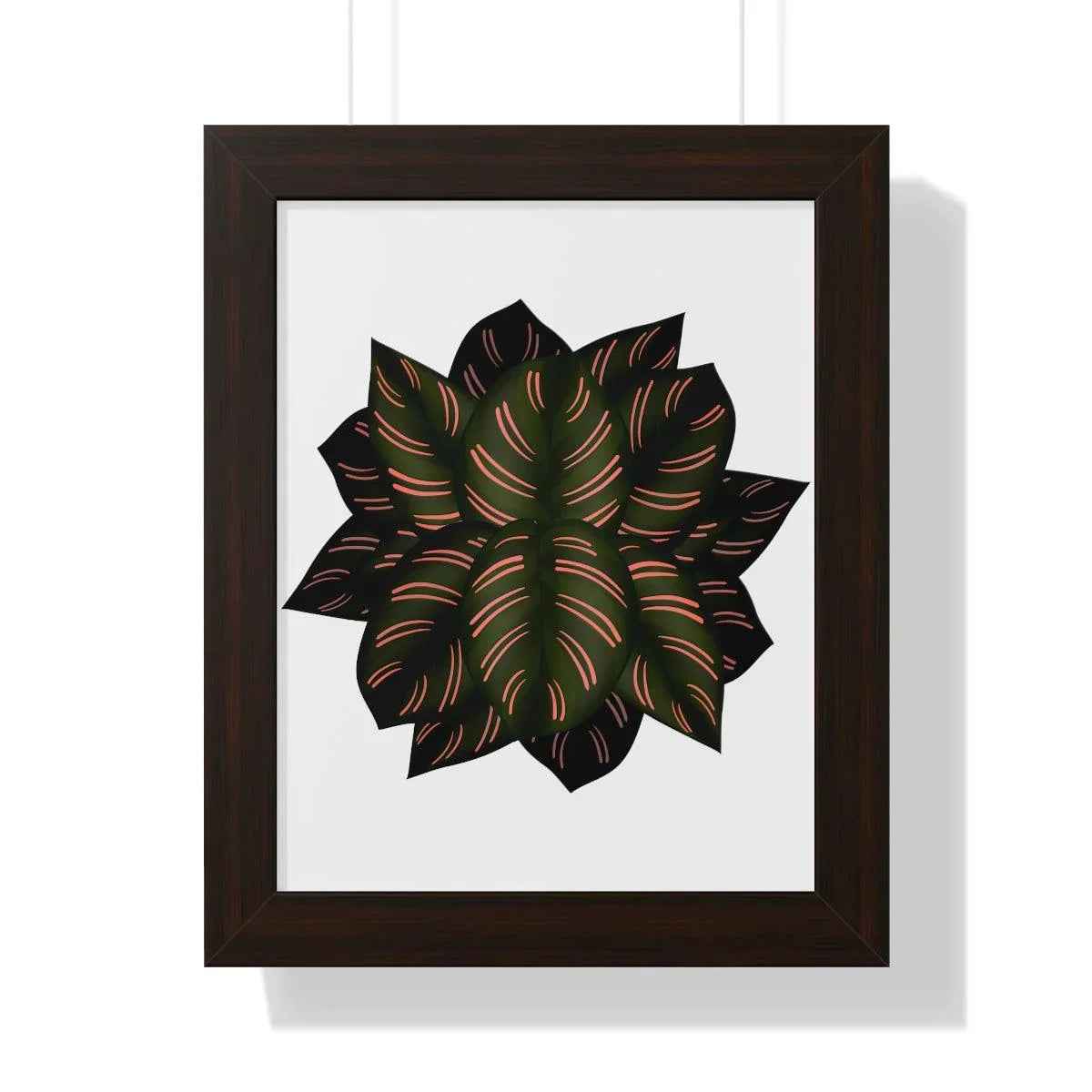 Calathea Pinstripe Framed Print – Botanical Wall Art