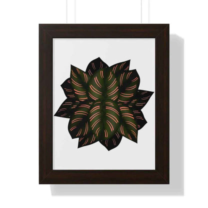 Calathea Pinstripe Framed Print – Botanical Wall Art