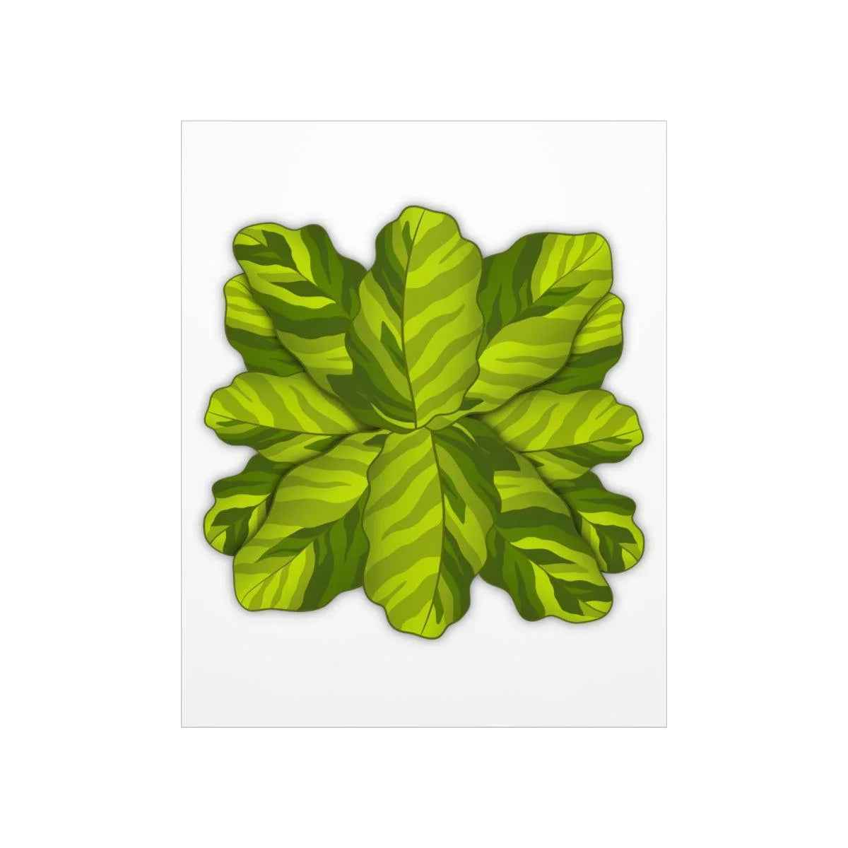 Calathea Yellow Fusion Botanical Print – Unframed Wall Art