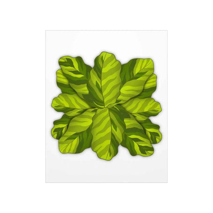 Calathea Yellow Fusion Botanical Print – Unframed Wall Art
