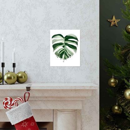 Melting Monstera Albo Botanical Print – Unframed Wall Art