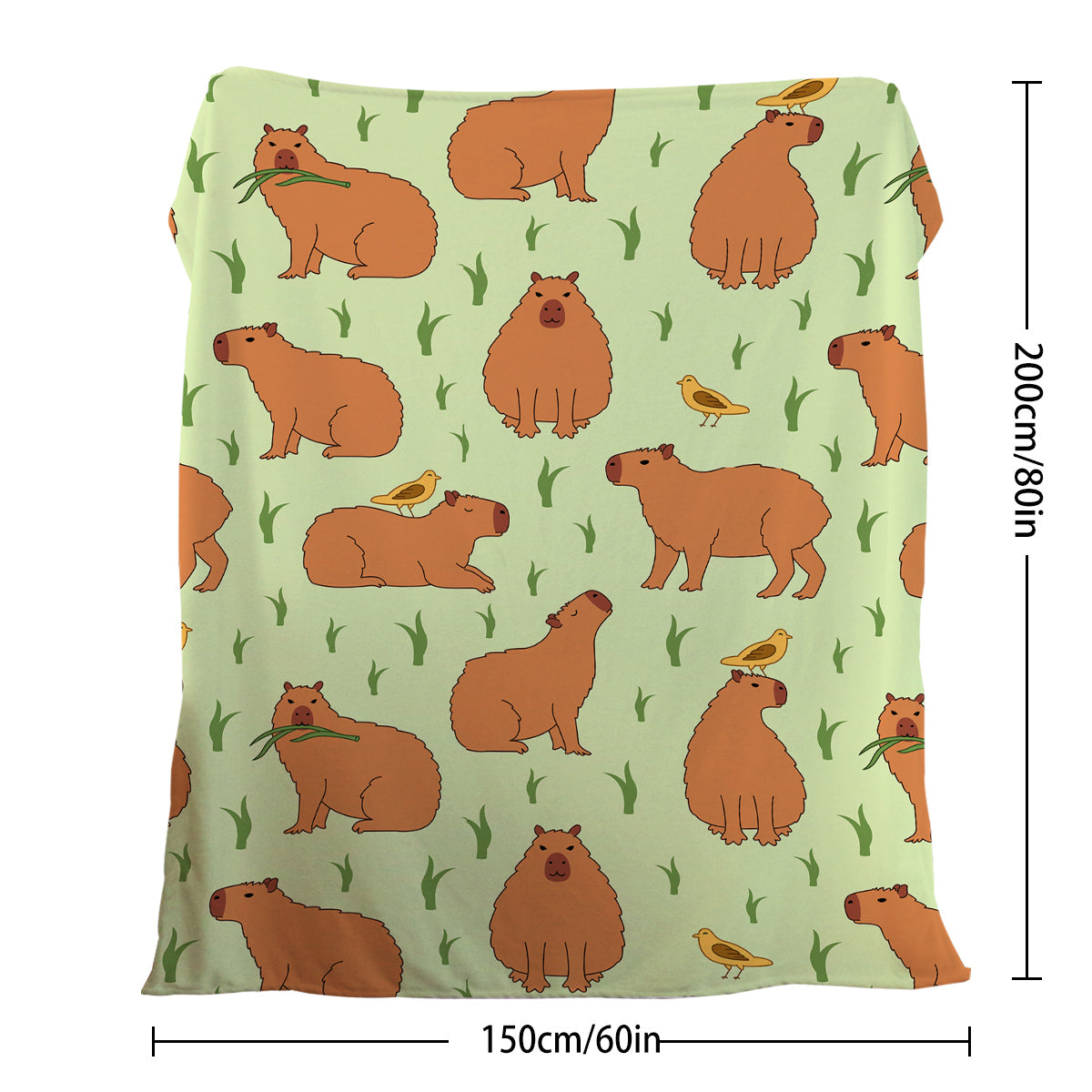 1 Pce Of Flannel Bird And Capybara Combined Pattern Soft And Fluffy Multifunctional Outdoor Beach Camping Living Room Sofa Office Nap Printed Blanket