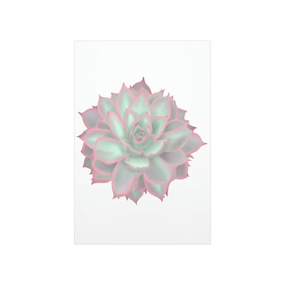 Echeveria Violet Queen Succulent Botanical Print – Unframed Wall Art