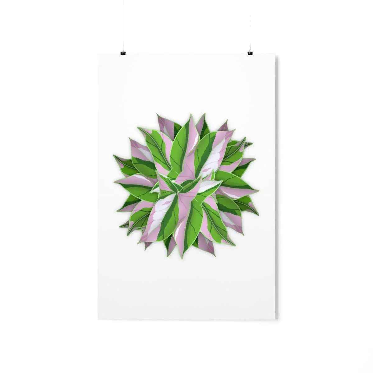 Syngonium Tricolor Pattern Botanical Print – Unframed Wall Art