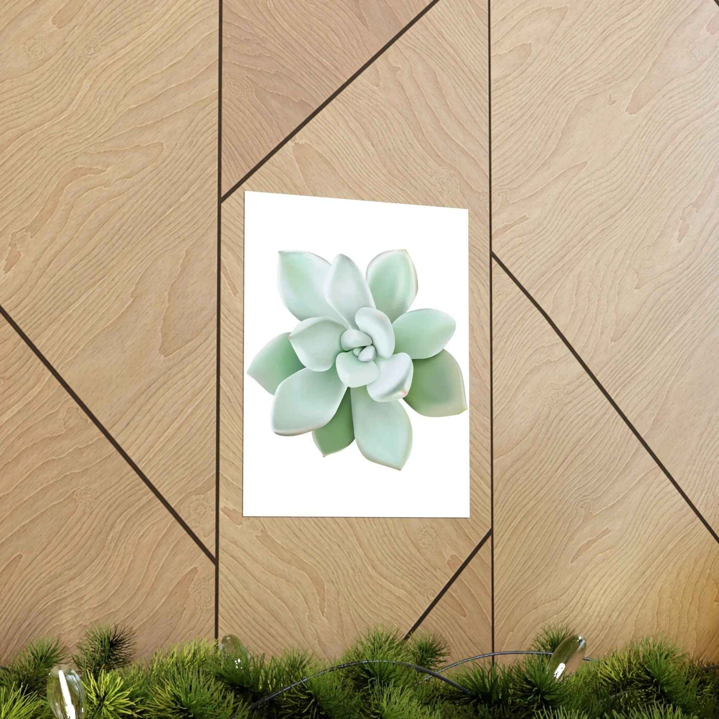 Pachyveria Haagei Succulent Botanical Print – Unframed Wall Art