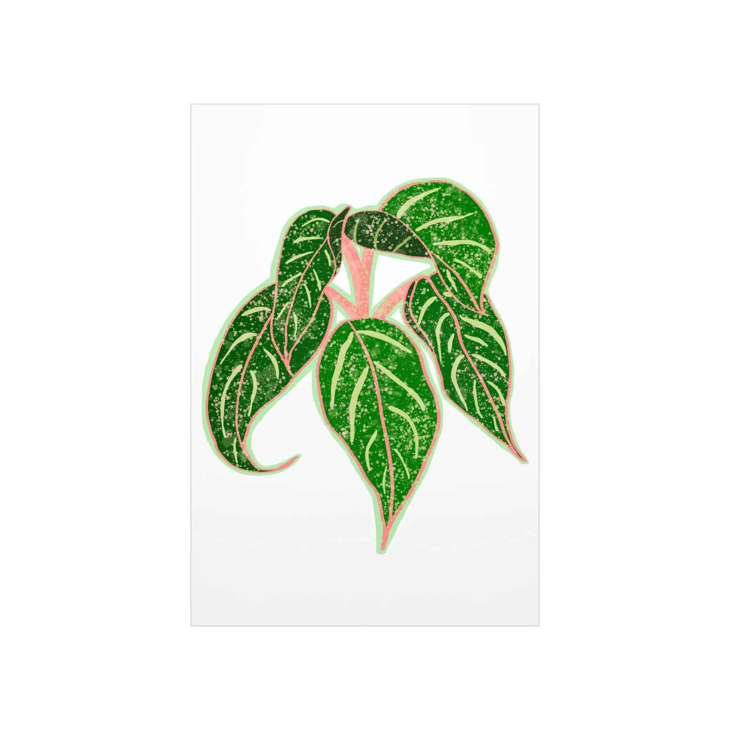 Aglaonema Sparkling Sarah Botanical Print – Unframed Wall Art