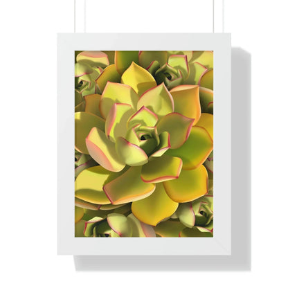 Noble Aeonium Succulent Pattern Framed Print – Botanical Wall Art