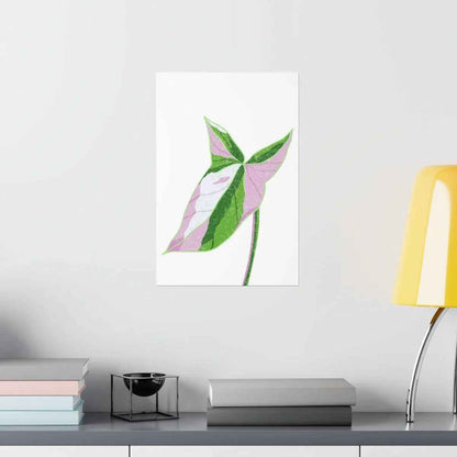 Syngonium Tricolor Botanical Print – Unframed Wall Art