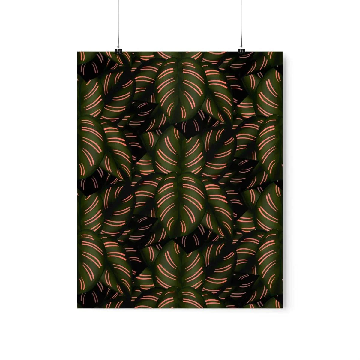 Calathea Pinstripe Botanical Print – Unframed Wall Art