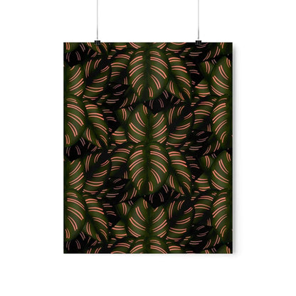 Calathea Pinstripe Botanical Print – Unframed Wall Art
