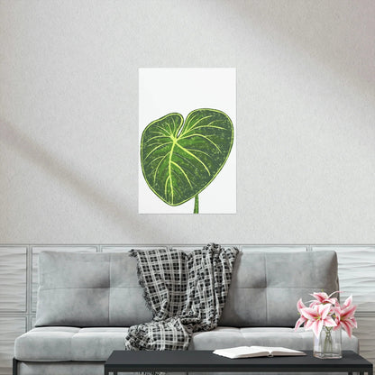Philodendron Gloriosum Botanical Print – Unframed Wall Art