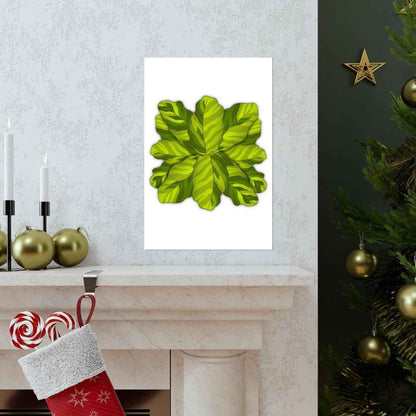 Calathea Yellow Fusion Botanical Print – Unframed Wall Art