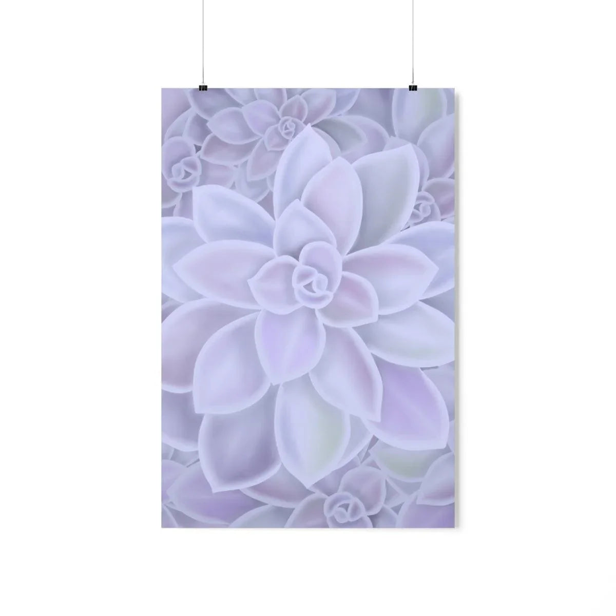 Graptopetalum Murasaki Succulent Pattern Botanical Print – Unframed Wall Art