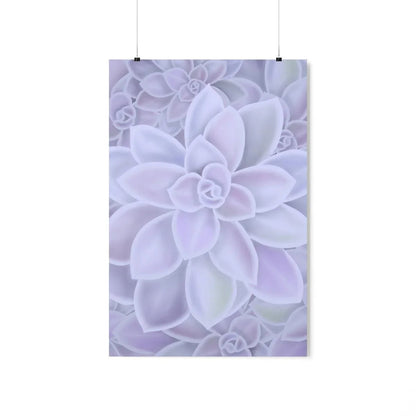 Graptopetalum Murasaki Succulent Pattern Botanical Print – Unframed Wall Art