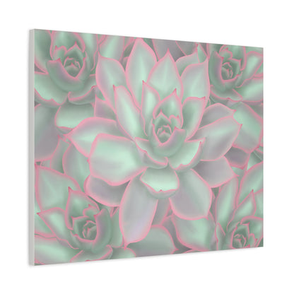 Echeveria Violet Queen Succulent Pattern Canvas Print – Botanical Wall Art