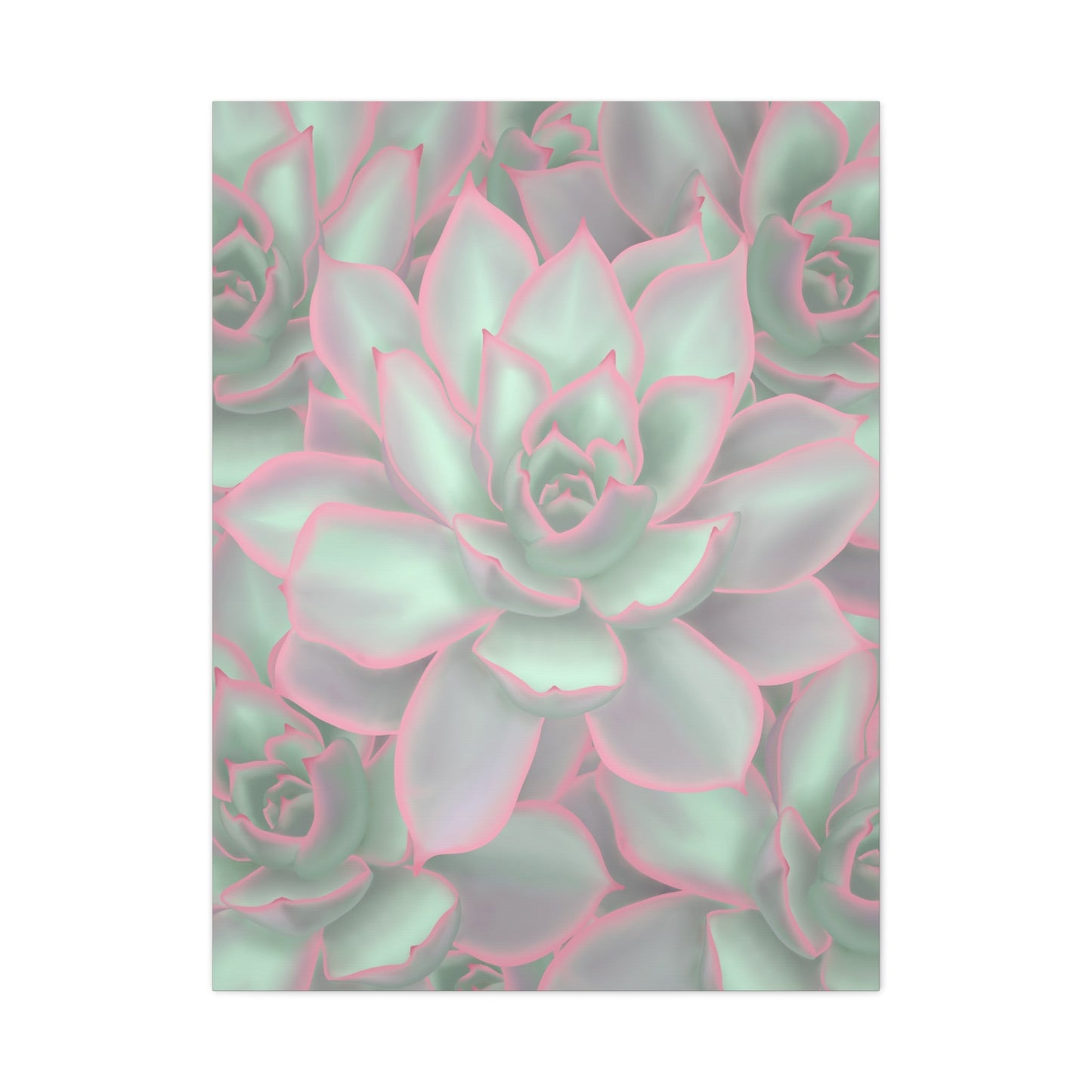 Echeveria Violet Queen Succulent Pattern Canvas Print – Botanical Wall Art