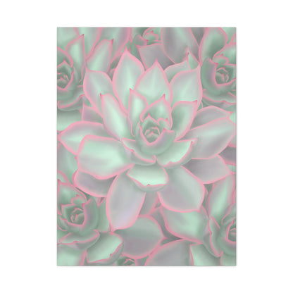 Echeveria Violet Queen Succulent Pattern Canvas Print – Botanical Wall Art