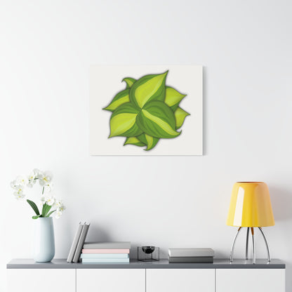 Philodendron Brasil Canvas Print – Botanical Wall Art