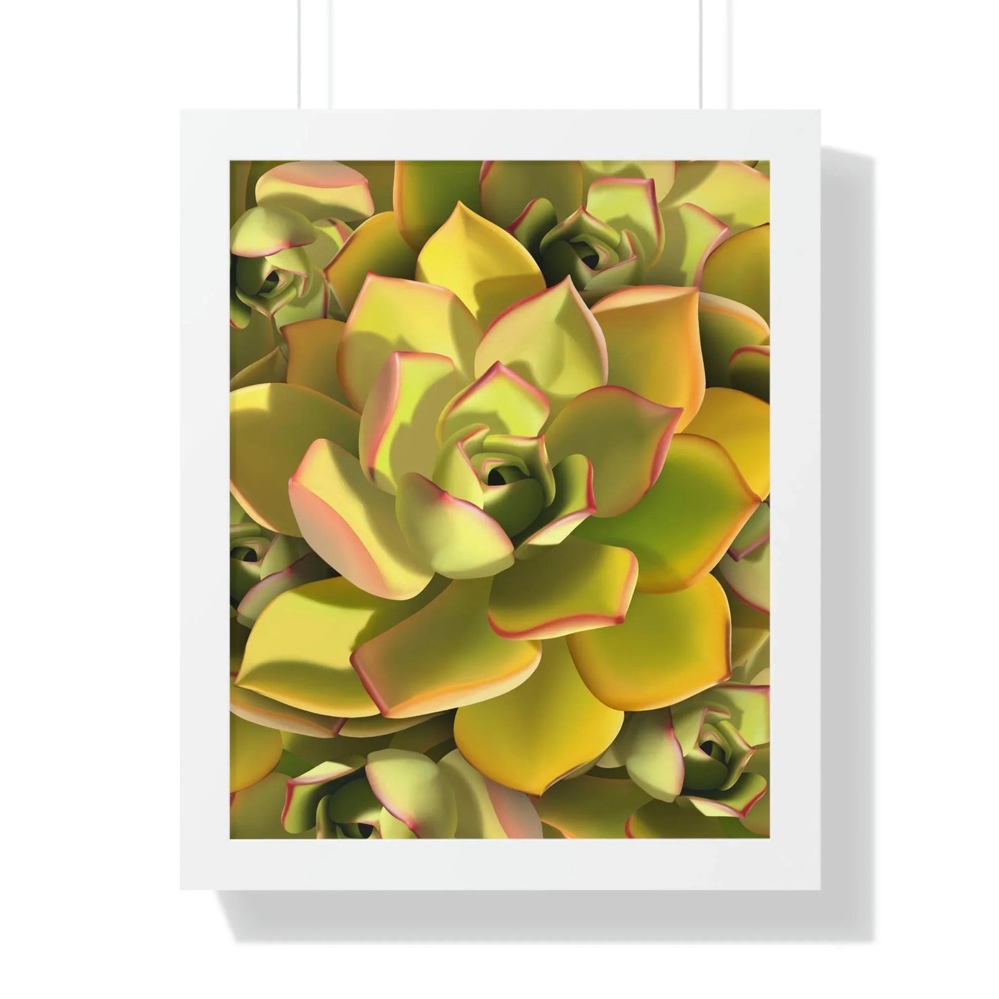 Noble Aeonium Succulent Pattern Framed Print – Botanical Wall Art