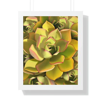 Noble Aeonium Succulent Pattern Framed Print – Botanical Wall Art