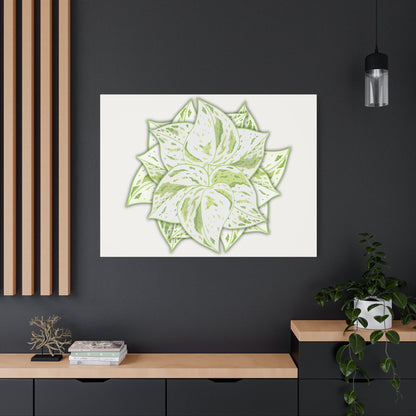 Snow Queen Pothos Canvas Print – Botanical Wall Art