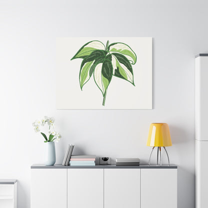 Philodendron Cream Splash Canvas Print – Botanical Wall Art