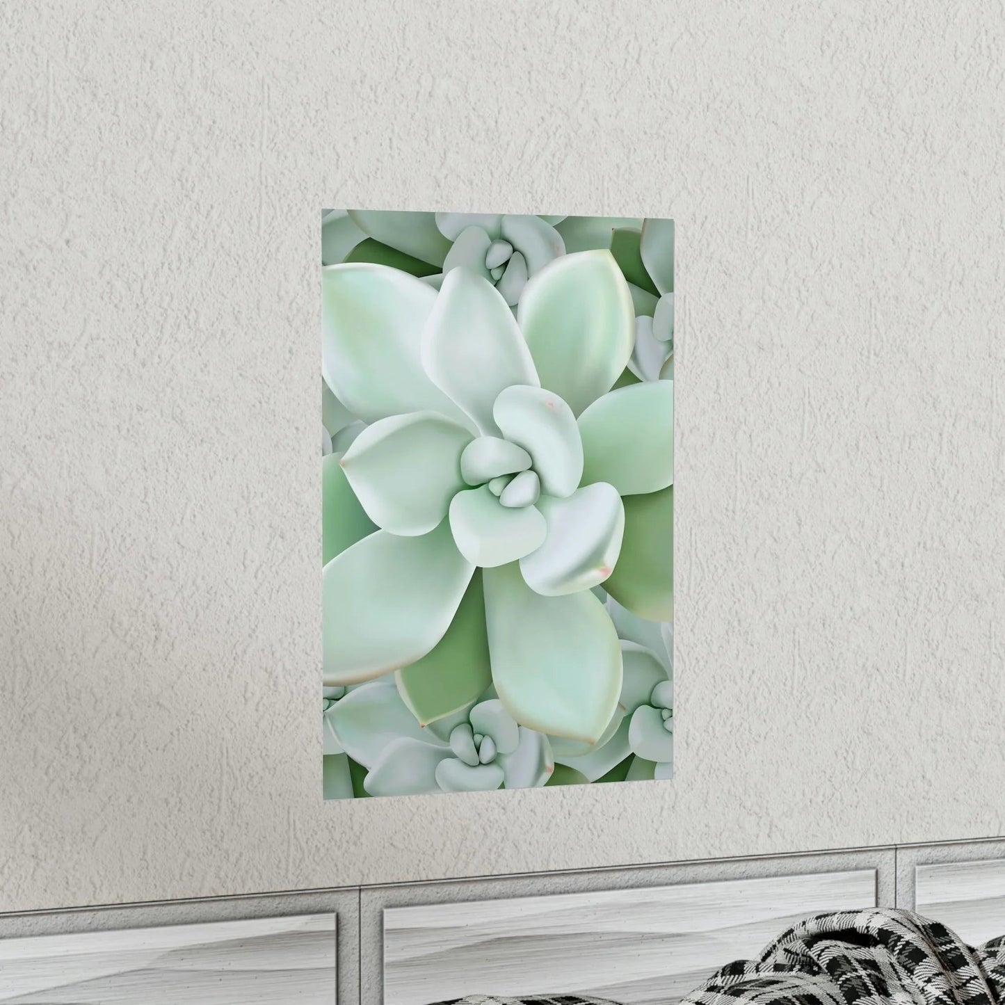 Pachyveria Haagei Succulent Pattern Botanical Print – Unframed Wall Art