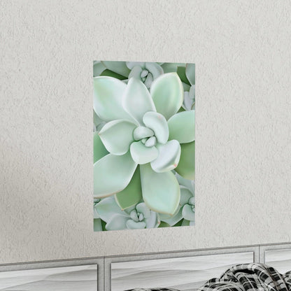 Pachyveria Haagei Succulent Pattern Botanical Print – Unframed Wall Art