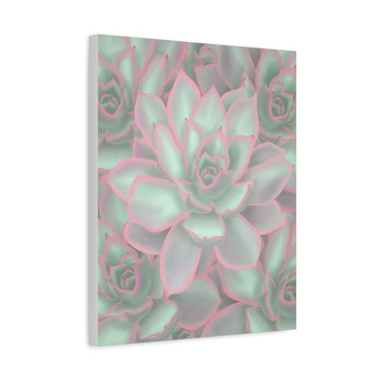 Echeveria Violet Queen Succulent Pattern Canvas Print – Botanical Wall Art