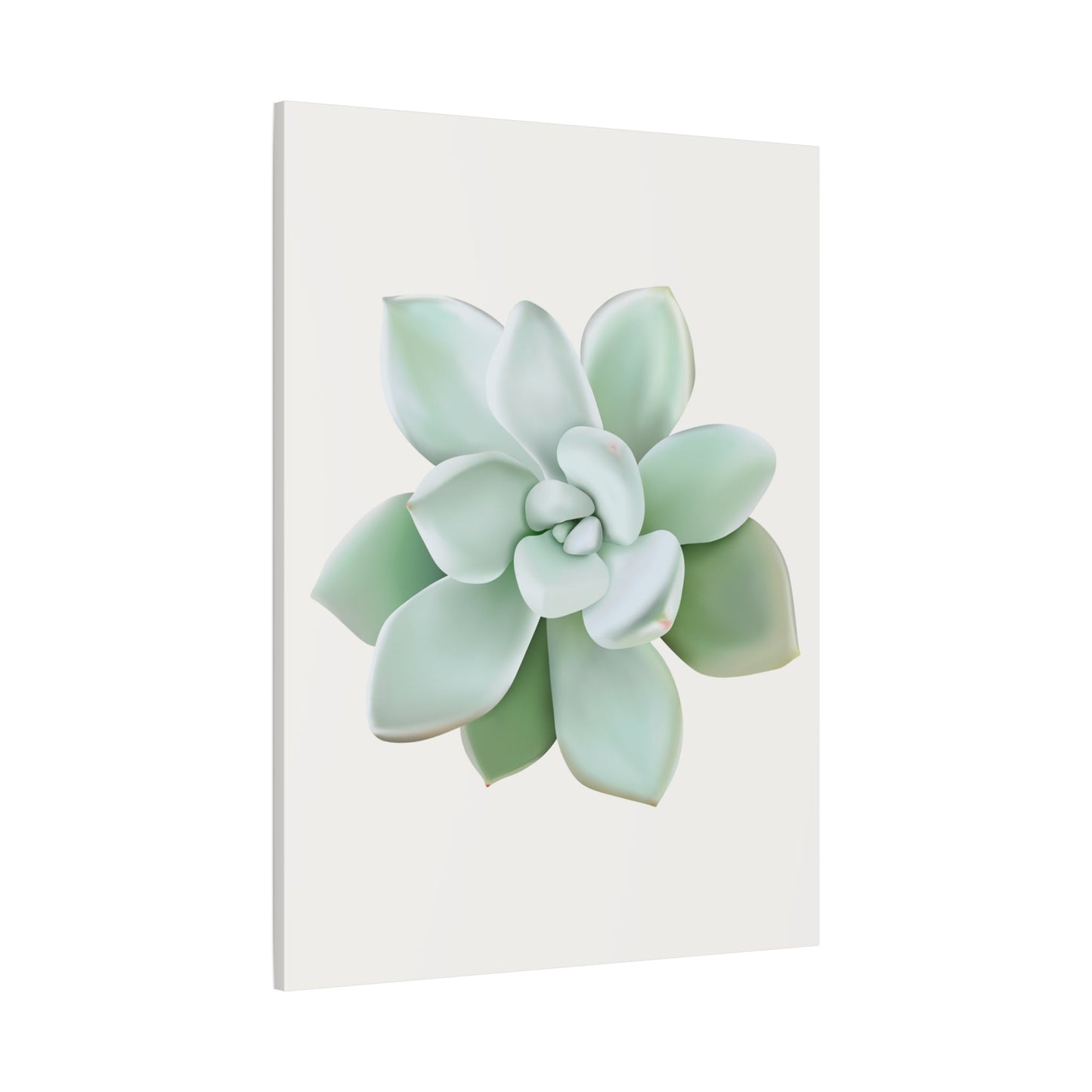 Pachyveria Haagei Succulent Canvas Print – Botanical Wall Art
