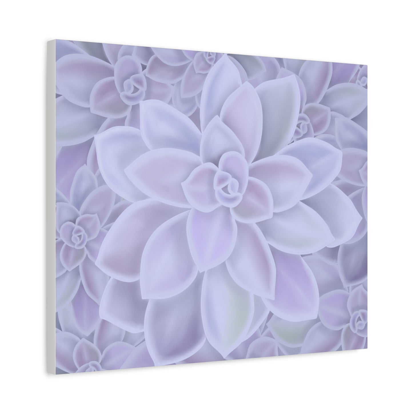 Graptopetalum Murasaki Succulent Pattern Canvas Print – Botanical Wall Art