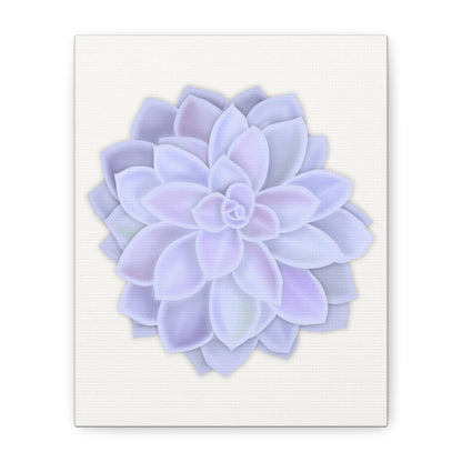 Graptopetalum Murasaki Succulent Canvas Print – Botanical Wall Art