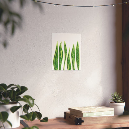 Snake Plant Botanical Print – Unframed Wall Art
